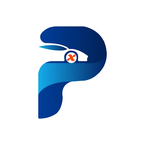 ParkX Logo